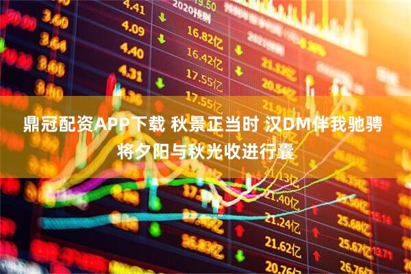 鼎冠配资APP下载 秋景正当时 汉DM伴我驰骋 将夕阳与秋光收进行囊